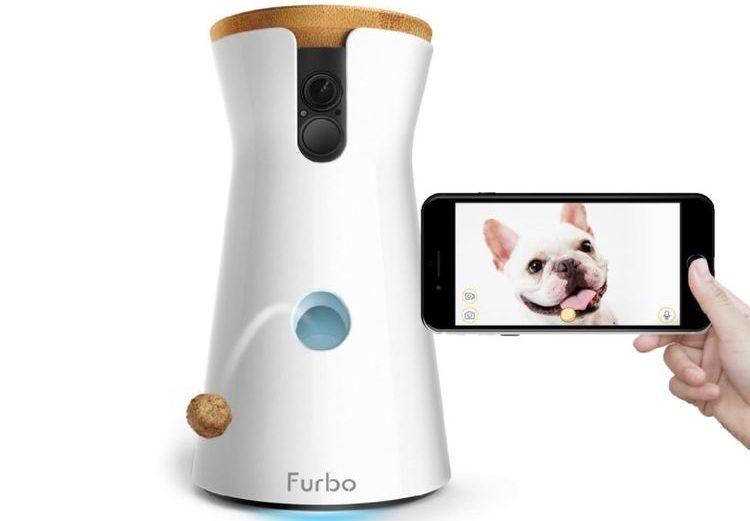 Furbo, caméra de surveillance pour chien avec distributeur de friandises intégré